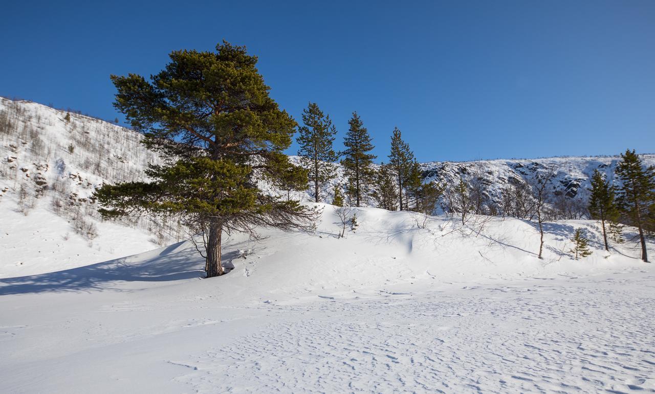 Osman Kelohovi Villa Utsjoki Exterior foto